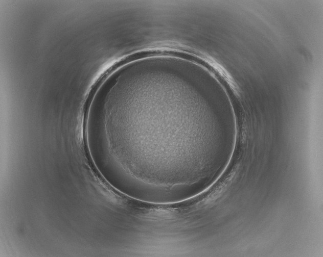 X0000116491224200912091414