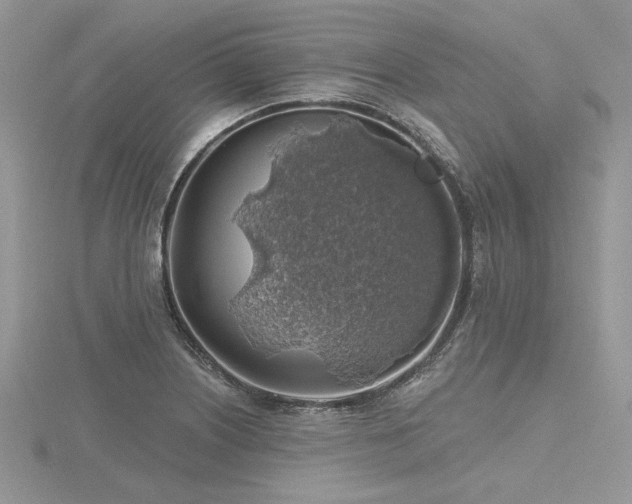 X0000116491226200912091414