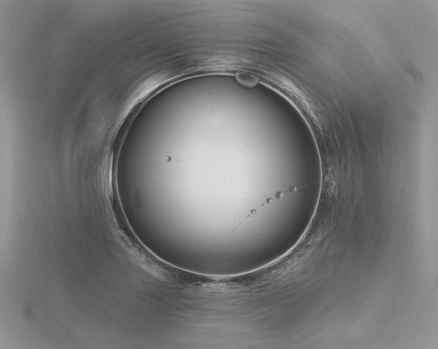 X0000116491227200912091414