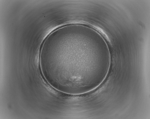 X0000116491228200912091414