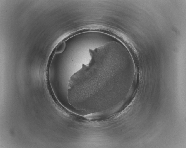 X0000116491229200912091414