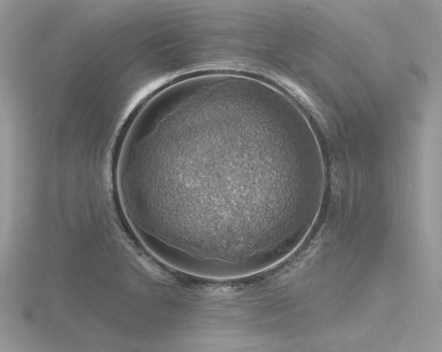 X0000116491230200912091414