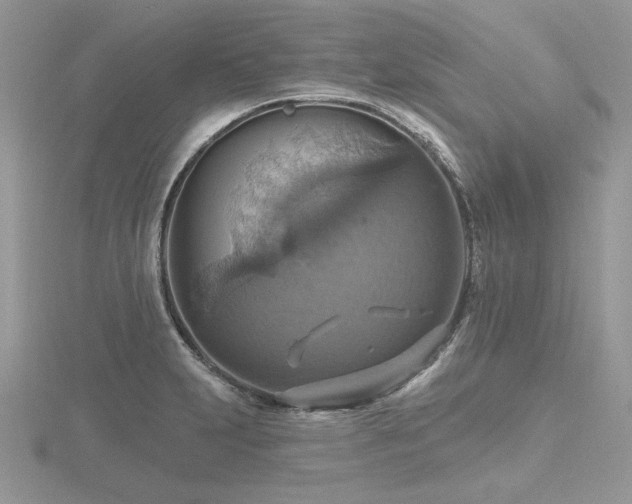 X0000116491231200912091414