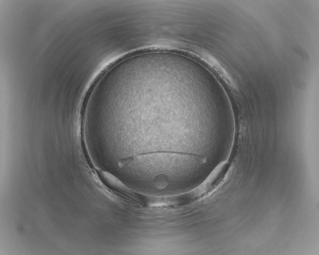 X0000116491232200912091414