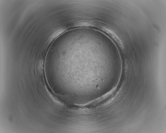 X0000116491233200912091414