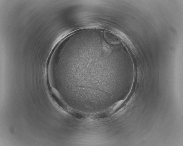 X0000116491234200912091414