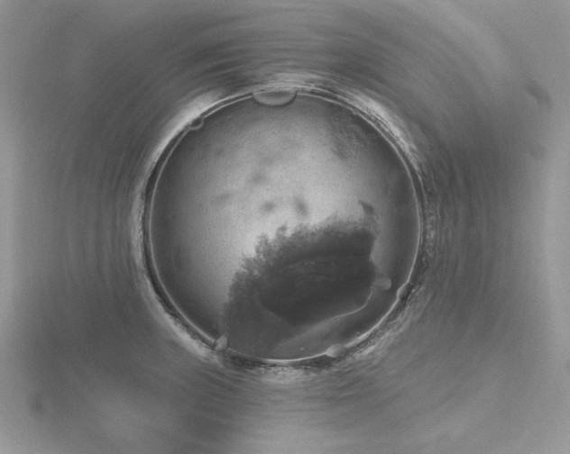 X0000116491235200912091414