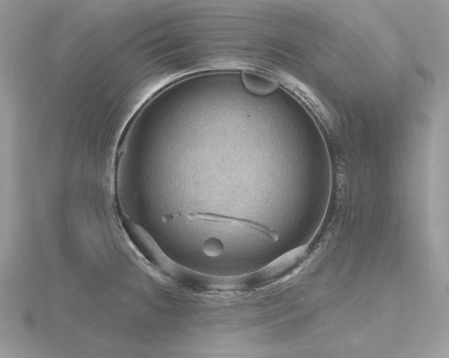 X0000116491236200912091414