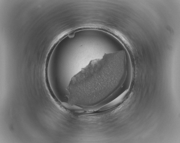 X0000116491237200912091414