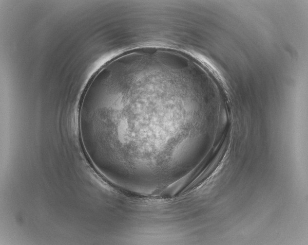 X0000116491238200912091414