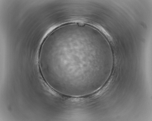 X0000116491240200912091414