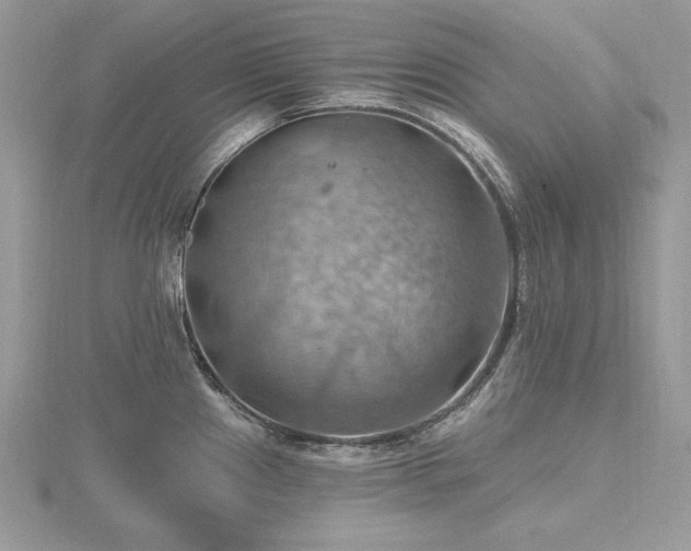 X0000116491241200912091414