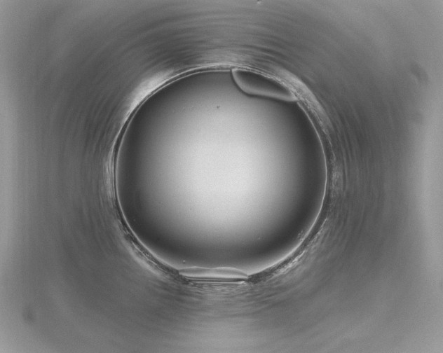 X0000116491242200912091414