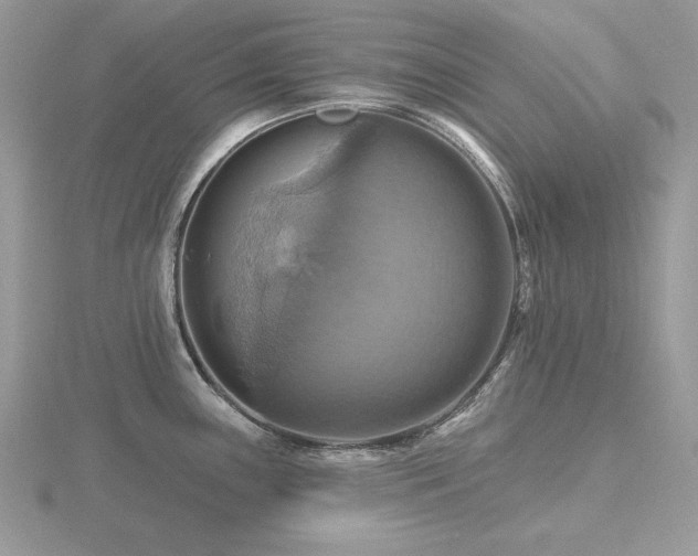 X0000116491243200912091414