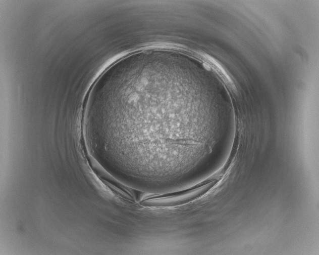 X0000116491244200912091414