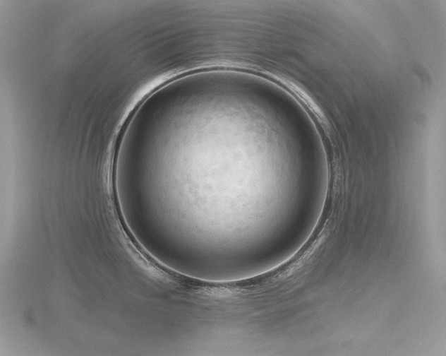 X0000116491246200912091414