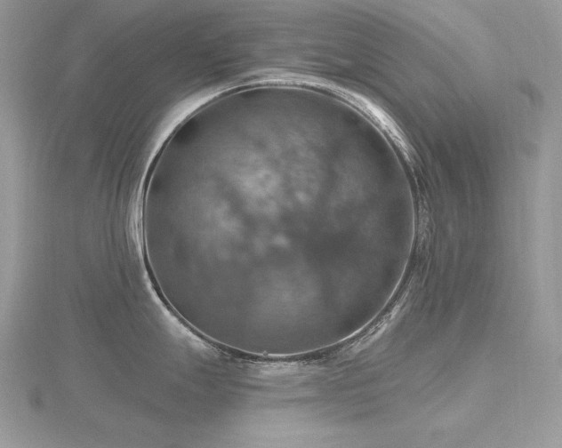 X0000116491247200912091414