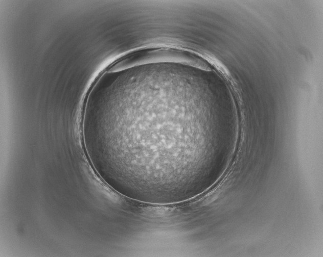 X0000116491248200912091414