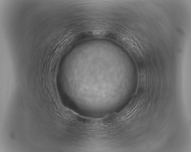 X0000116491249200912091414