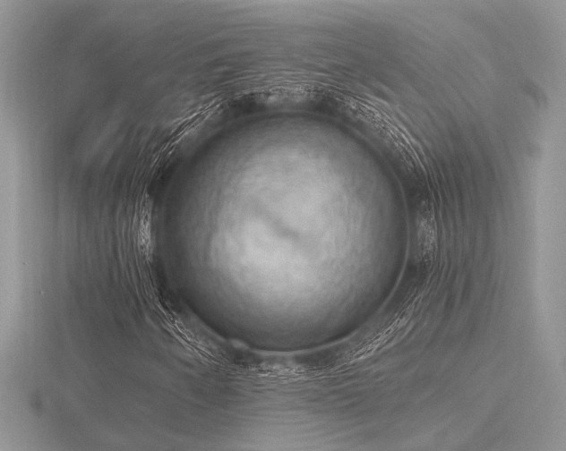 X0000116491250200912091414