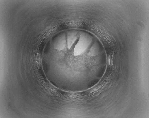 X0000116491251200912091414