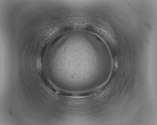 X0000116491252200912091414