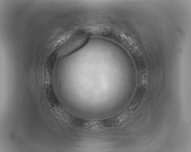 X0000116491253200912091414