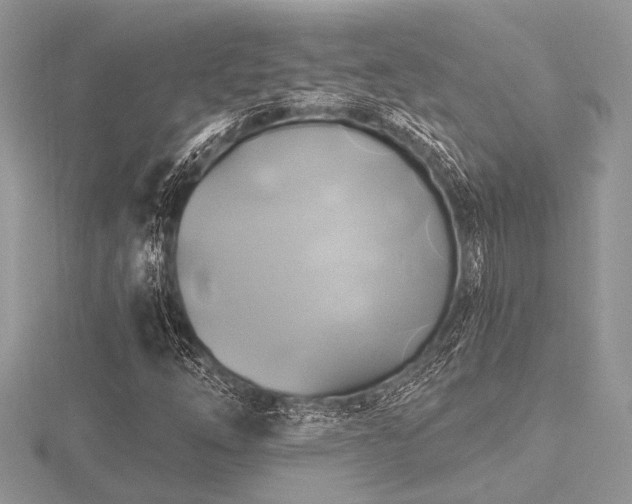 X0000116491254200912091414