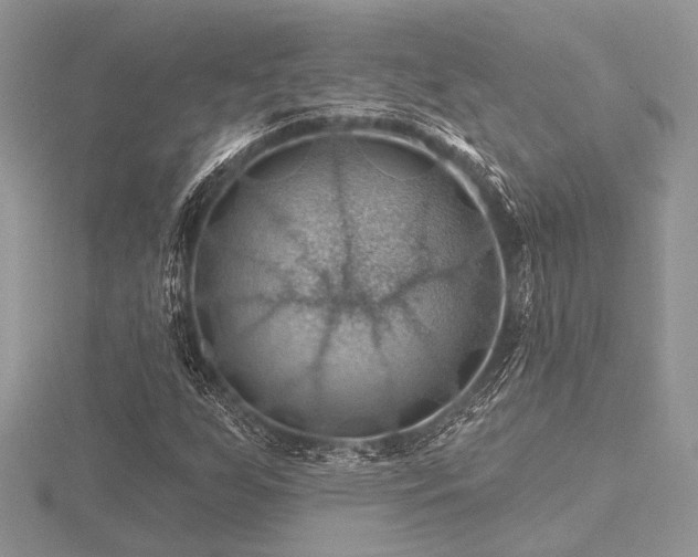 X0000116491255200912091414