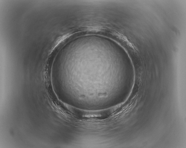 X0000116491256200912091413