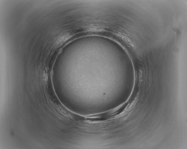 X0000116491257200912091413