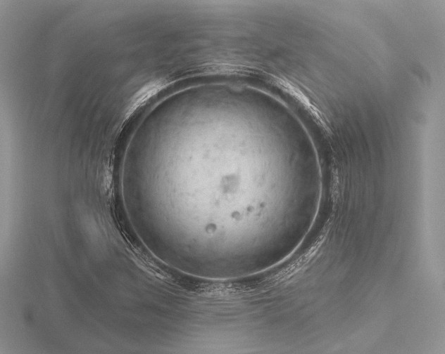 X0000116491259200912091413