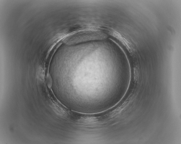 X0000116491260200912091413