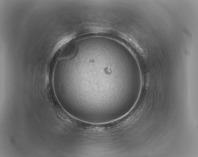 X0000116491261200912091413