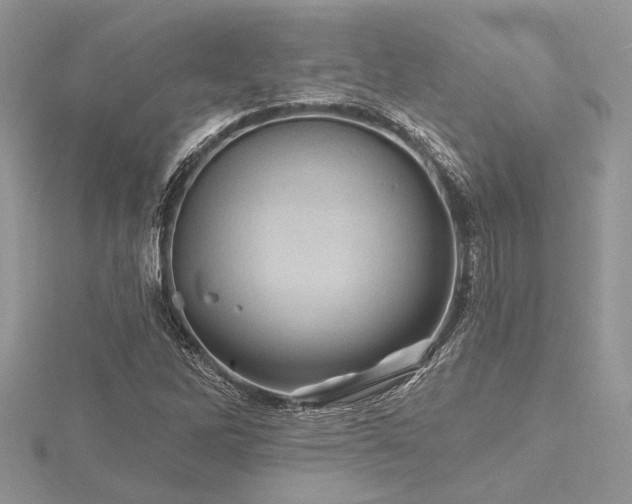 X0000116491262200912091413