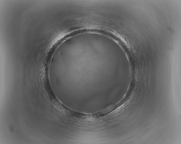 X0000116491263200912091413