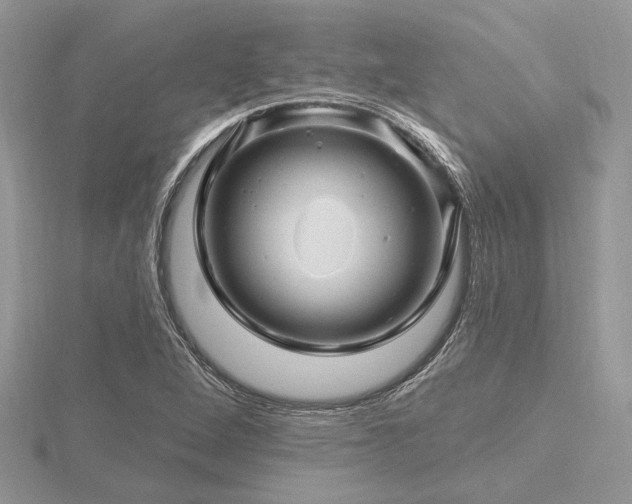 X0000116491264200912091413