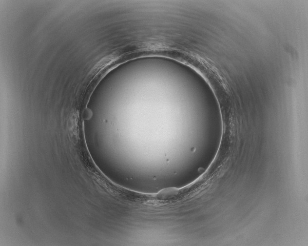 X0000116491265200912091413