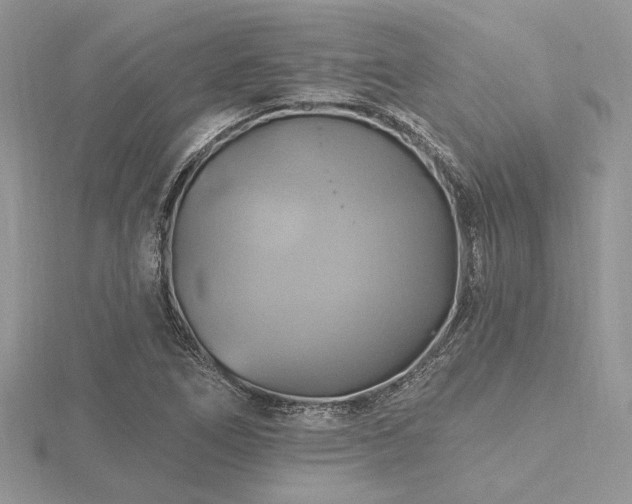 X0000116491266200912091413