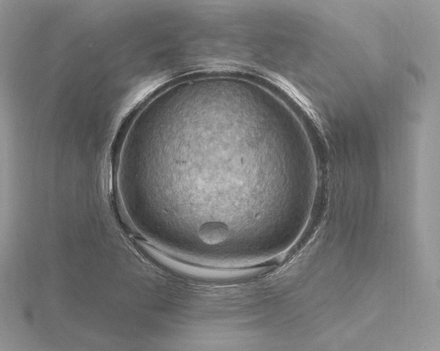 X0000116491269200912091413