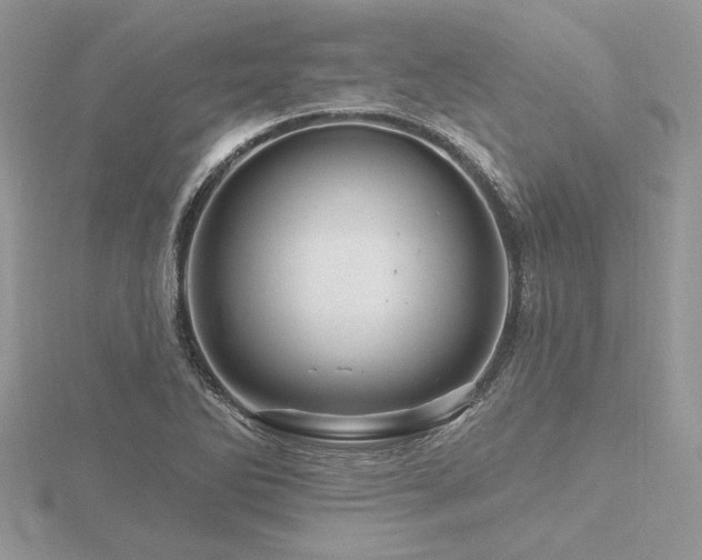 X0000116491270200912091413