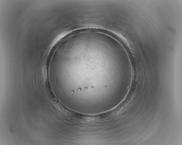 X0000116491271200912091413