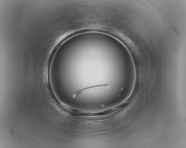 X0000116491272200912091413