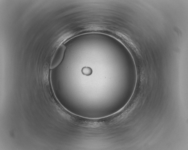 X0000116491273200912091413