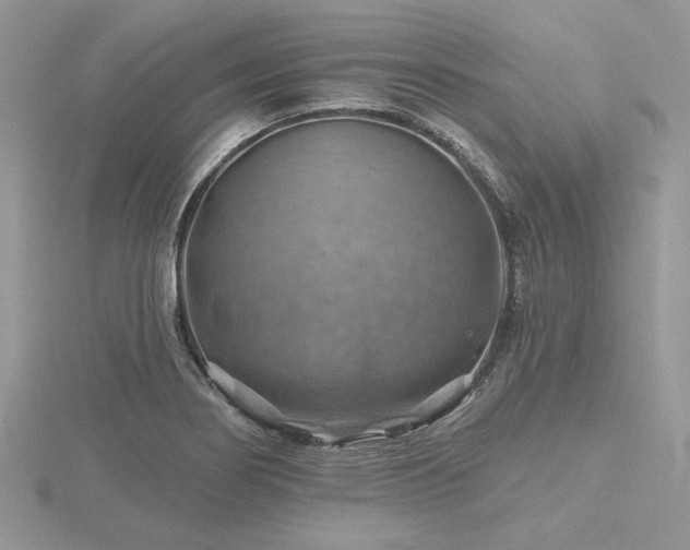 X0000116491274200912091413