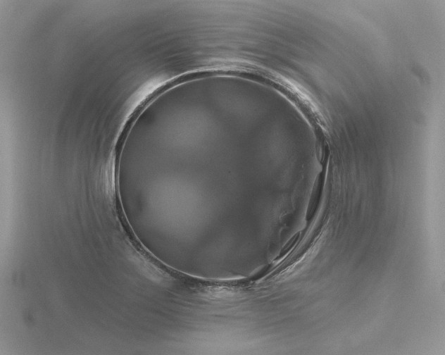 X0000116491275200912091413