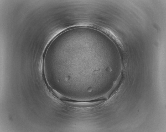 X0000116491276200912091413