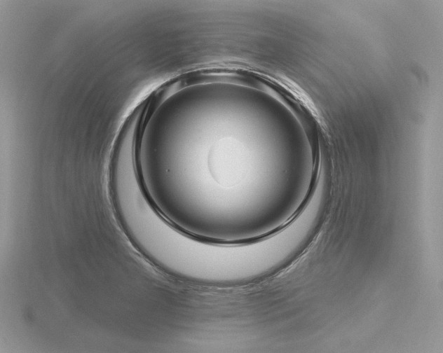 X0000116491277200912091413