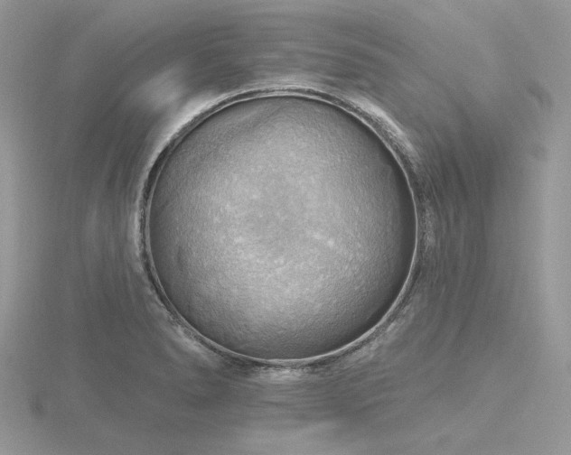 X0000116491278200912091413