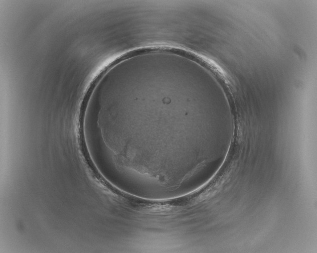 X0000116491279200912091413